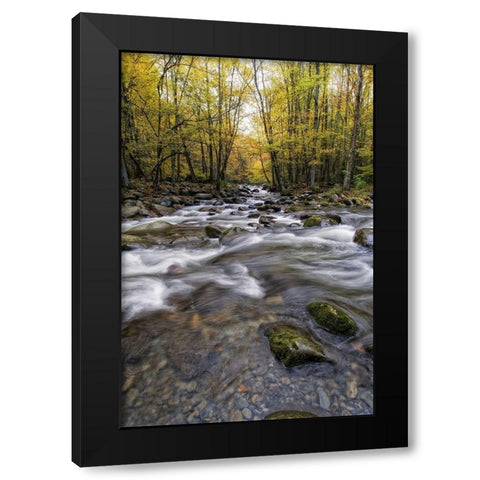 Roaring Waters II Black Modern Wood Framed Art Print by Head, Danny