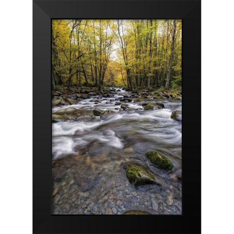 Roaring Waters II Black Modern Wood Framed Art Print by Head, Danny