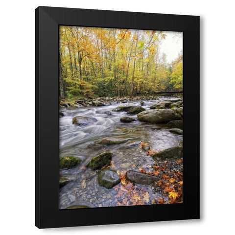 Roaring Waters III Black Modern Wood Framed Art Print by Head, Danny