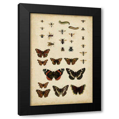 Garden Friends Black Modern Wood Framed Art Print by Vision Studio
