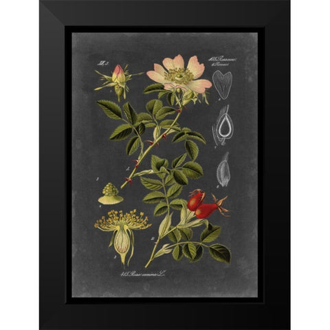 Midnight Botanical I Black Modern Wood Framed Art Print by Vision Studio