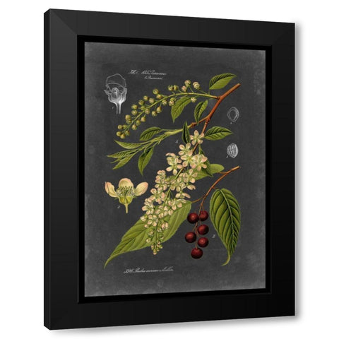 Midnight Botanical II Black Modern Wood Framed Art Print by Vision Studio