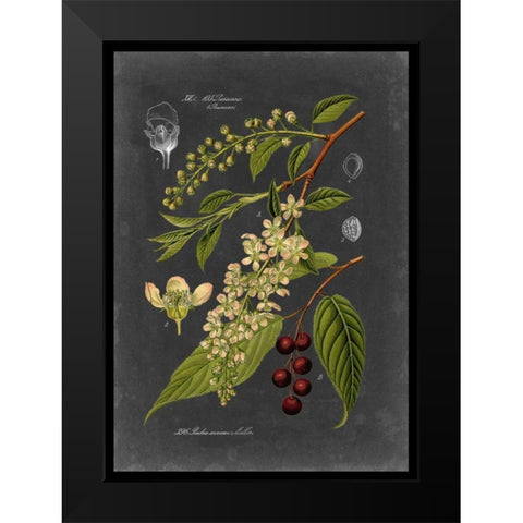 Midnight Botanical II Black Modern Wood Framed Art Print by Vision Studio