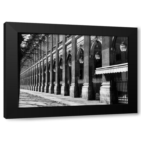 Parisian Archways IV Black Modern Wood Framed Art Print by DeNardo, Laura