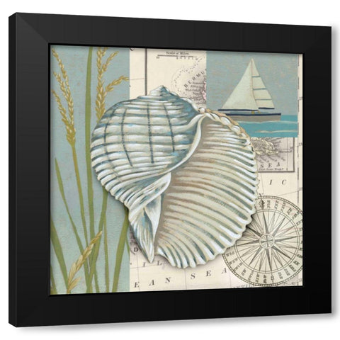 Seaside Shell I Black Modern Wood Framed Art Print with Double Matting by Zarris, Chariklia