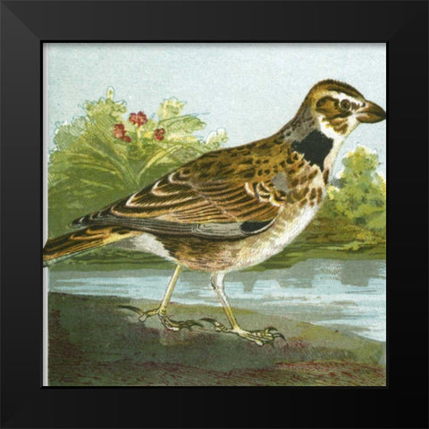 Mini Vintage Birds III Black Modern Wood Framed Art Print by Unknown