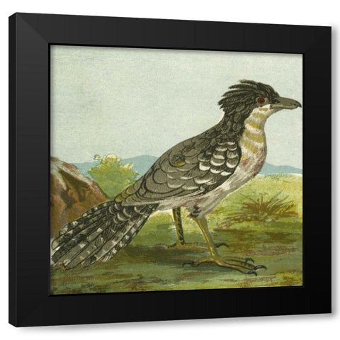 Mini Vintage Birds V Black Modern Wood Framed Art Print by Unknown