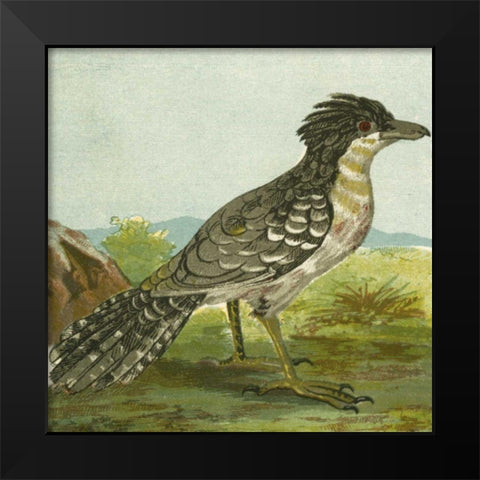 Mini Vintage Birds V Black Modern Wood Framed Art Print by Unknown