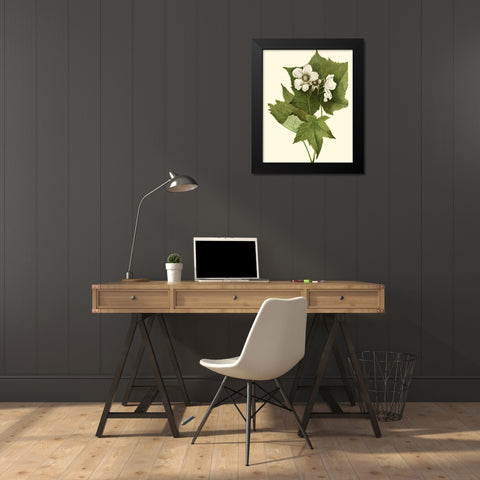 Delicate Foliage I Black Modern Wood Framed Art Print by Unknown