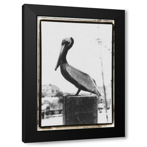 Pelican Perch Black Modern Wood Framed Art Print by DeNardo, Laura