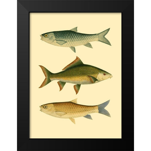 Antique Fish I Black Modern Wood Framed Art Print by Briggs, Ernest