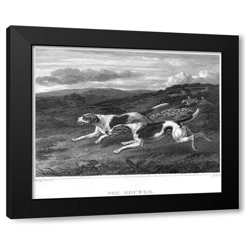 Foxhounds Black Modern Wood Framed Art Print with Double Matting by Scott, John