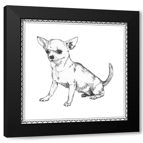 Best in Show II Black Modern Wood Framed Art Print with Double Matting by Meagher, Megan