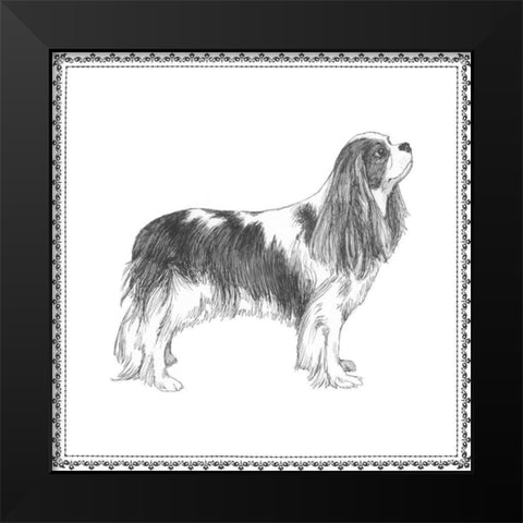 Best in Show IV Black Modern Wood Framed Art Print by Meagher, Megan