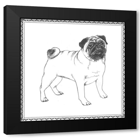 Best in Show VII Black Modern Wood Framed Art Print by Meagher, Megan