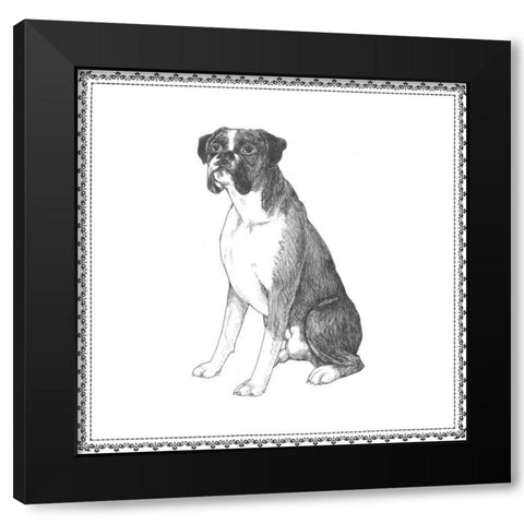 Best in Show XI Black Modern Wood Framed Art Print by Meagher, Megan