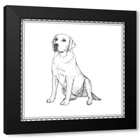 Best in Show XII Black Modern Wood Framed Art Print by Meagher, Megan