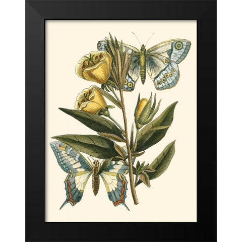 Butterfly Oasis II Black Modern Wood Framed Art Print by Vision Studio
