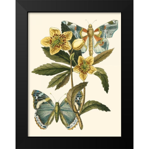 Butterfly Oasis III Black Modern Wood Framed Art Print by Vision Studio