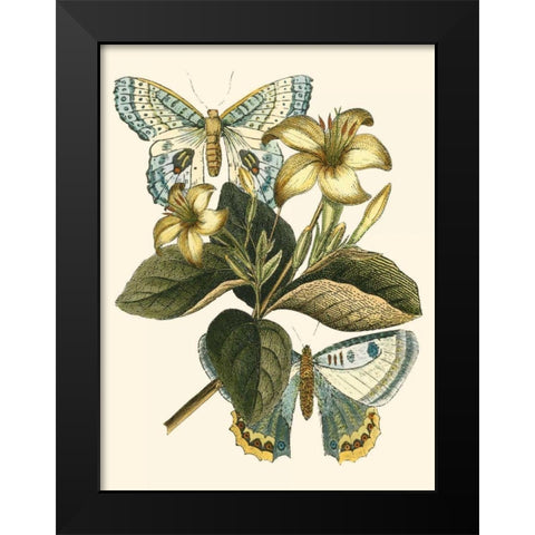 Butterfly Oasis IV Black Modern Wood Framed Art Print by Vision Studio