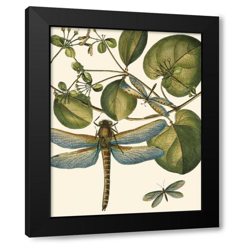 Dragonfly Medley I Black Modern Wood Framed Art Print by Vision Studio