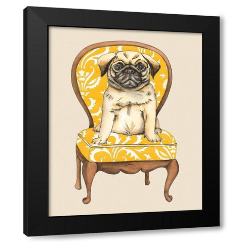 Pampered Pet I Black Modern Wood Framed Art Print by Zarris, Chariklia