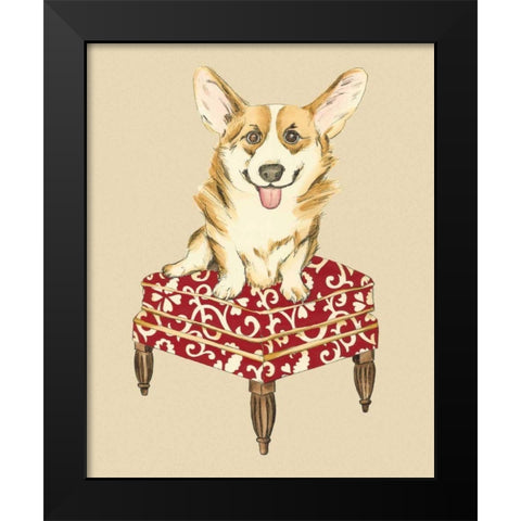 Pampered Pet III Black Modern Wood Framed Art Print by Zarris, Chariklia