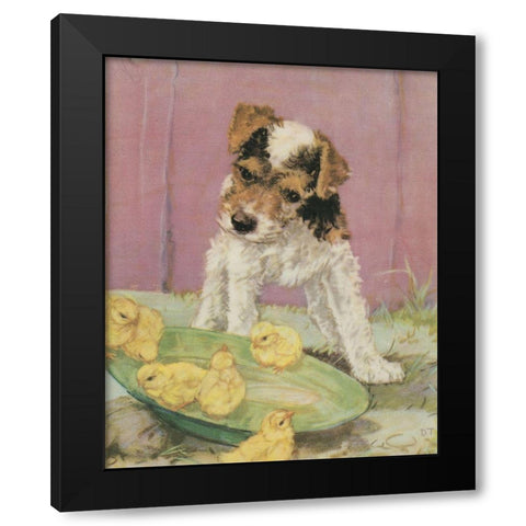 Terrier Trouble II Black Modern Wood Framed Art Print with Double Matting by Unknown