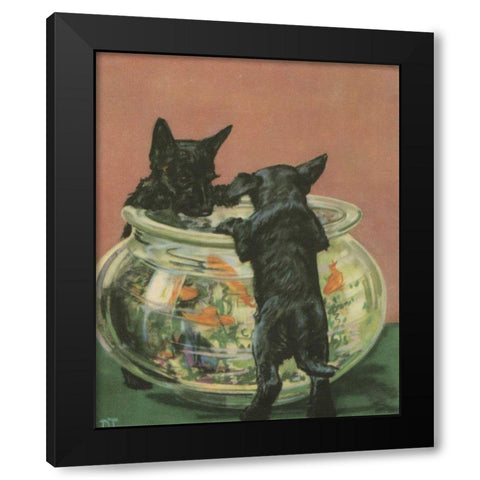 Terrier Trouble VI Black Modern Wood Framed Art Print by Unknown