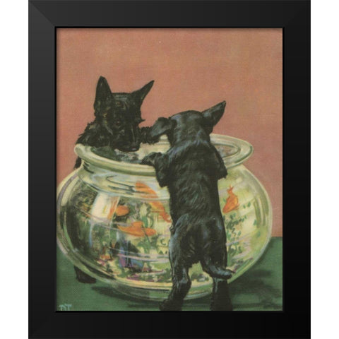 Terrier Trouble VI Black Modern Wood Framed Art Print by Unknown