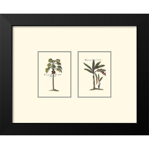Miniature Palm I Black Modern Wood Framed Art Print by Vision Studio