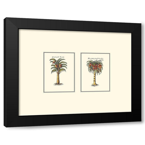 Miniature Palm II Black Modern Wood Framed Art Print by Vision Studio