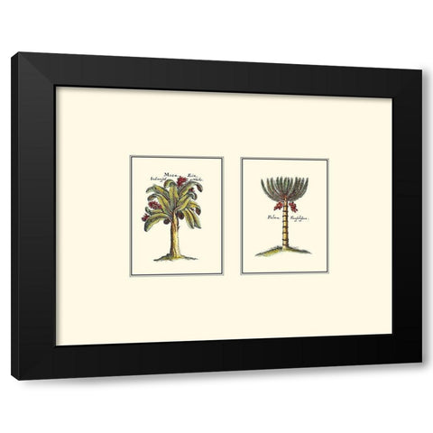 Miniature Palm III Black Modern Wood Framed Art Print by Vision Studio