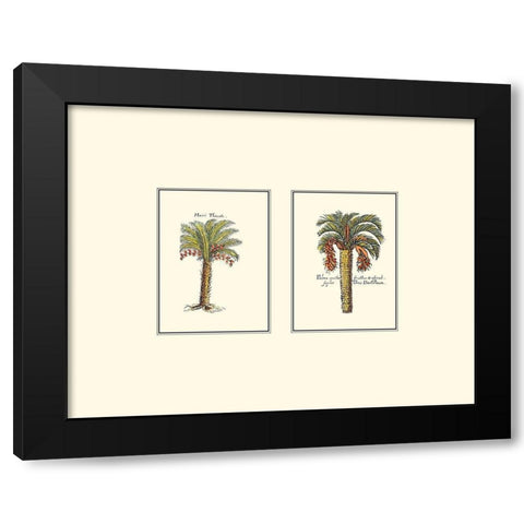 Miniature Palm IV Black Modern Wood Framed Art Print by Vision Studio