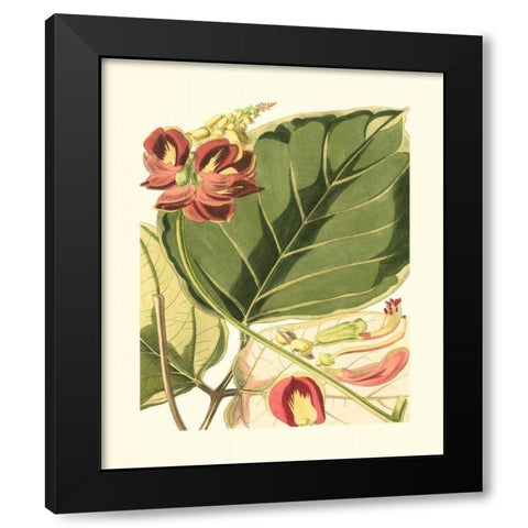 Fantastical Botanical I Black Modern Wood Framed Art Print with Double Matting by Vision Studio