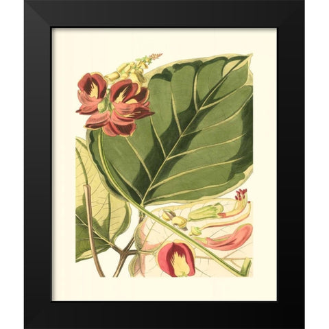 Fantastical Botanical I Black Modern Wood Framed Art Print by Vision Studio