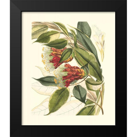 Fantastical Botanical II Black Modern Wood Framed Art Print by Vision Studio
