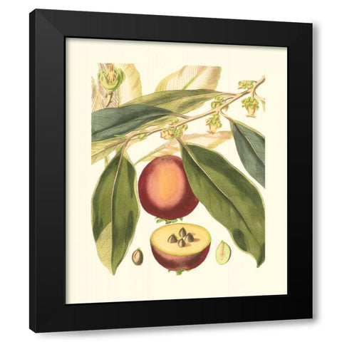 Fantastical Botanical III Black Modern Wood Framed Art Print by Vision Studio