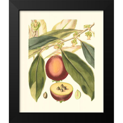Fantastical Botanical III Black Modern Wood Framed Art Print by Vision Studio