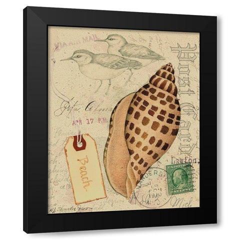 Postcard Shells I Black Modern Wood Framed Art Print by Pallan, Nancy S.