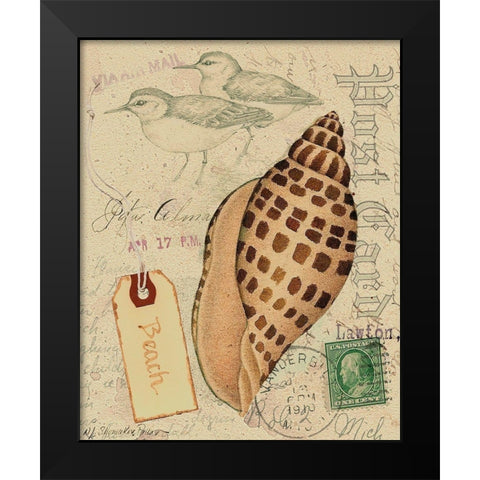 Postcard Shells I Black Modern Wood Framed Art Print by Pallan, Nancy S.