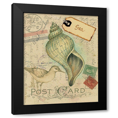 Postcard Shells II Black Modern Wood Framed Art Print with Double Matting by Pallan, Nancy S.