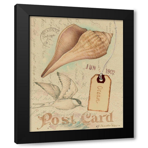 Postcard Shells IV Black Modern Wood Framed Art Print by Pallan, Nancy S.