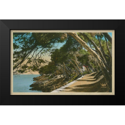 The Cote dAzur IV Black Modern Wood Framed Art Print by Unknown