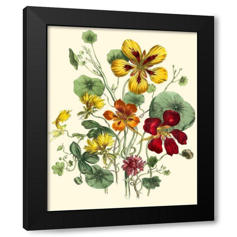 Summer Flowers I Black Modern Wood Framed Art Print with Double Matting by Unknown