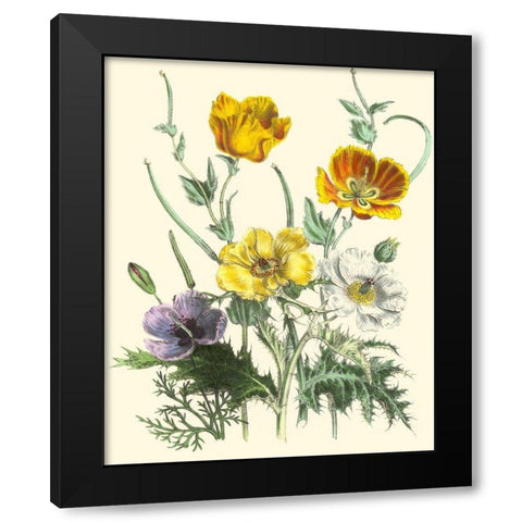 Summer Flowers II Black Modern Wood Framed Art Print with Double Matting by Unknown