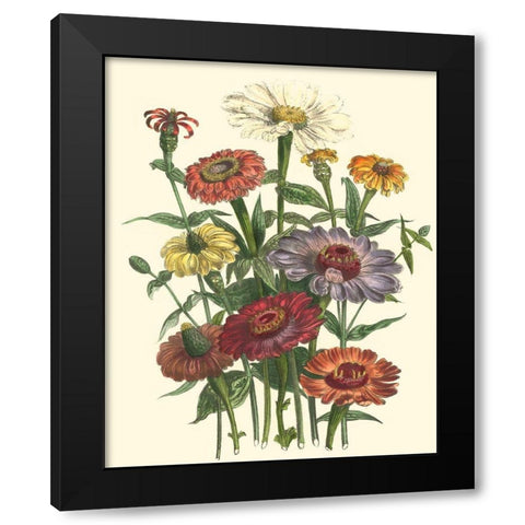 Summer Flowers III Black Modern Wood Framed Art Print with Double Matting by Unknown