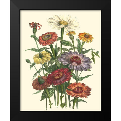 Summer Flowers III Black Modern Wood Framed Art Print by Unknown