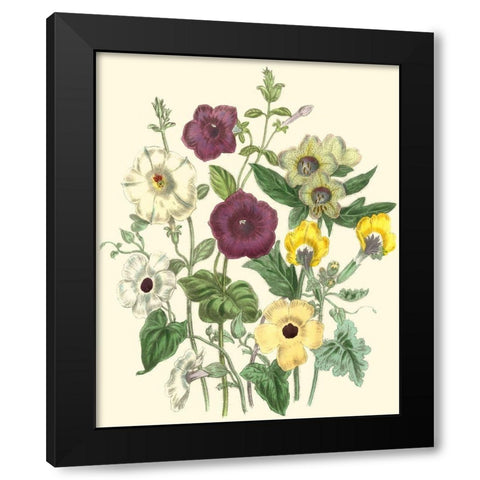 Summer Flowers IV Black Modern Wood Framed Art Print by Unknown