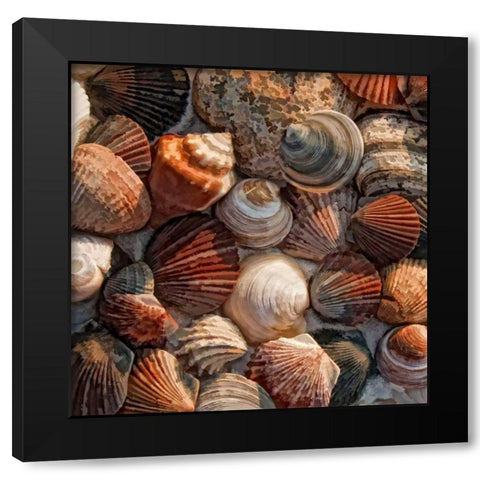 Shell Yes Black Modern Wood Framed Art Print by Head, Danny